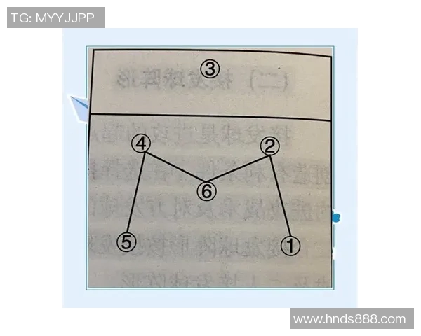上海排球队的整体压制策略解析与深度剖析排球竞技的胜利之道